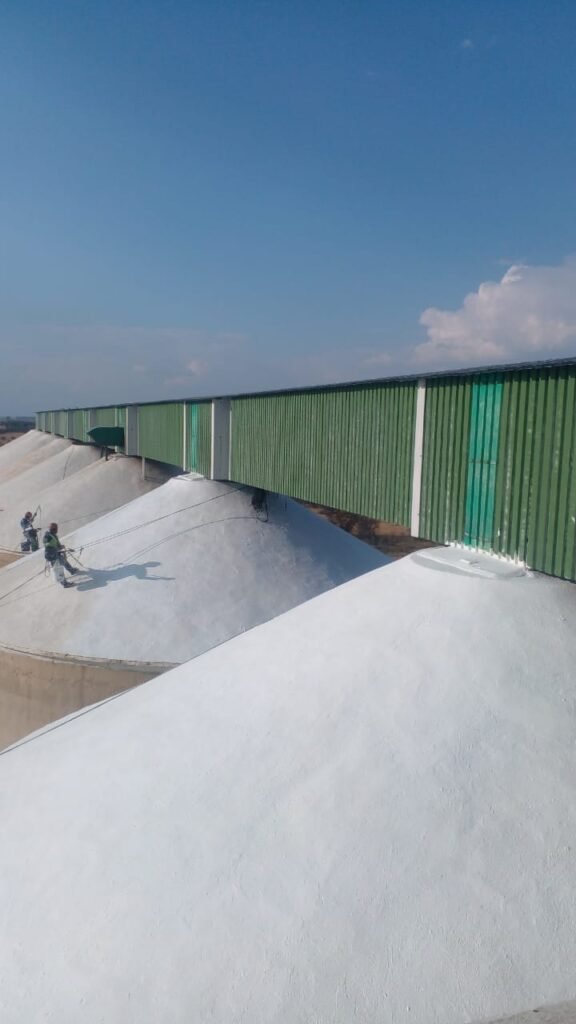 APR Waterproofing technicians using rope access to perform painting and waterproofing work on top of the silo roofs.